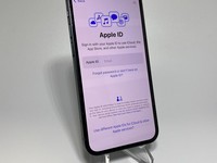 Apple iPhone 13 Mini