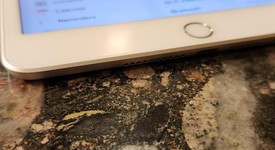 Mint
													Apple iPad Mini 5th Gen - Unlocked, Silver, 64 GB, photo 2 of 5