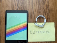 Apple iPad Air