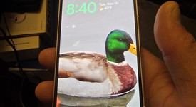 Mint
													Google Pixel 10 Pro Fold - Unlocked, Jade, 512 GB, GU0NP, photo 3 of 20