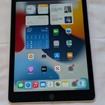 Good Apple iPad Air 2 - Wi-Fi, 64 GB, Gray