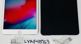Fair
													Apple iPad Mini 4 - Unlocked, Gold, 16 GB, photo 1 of 10