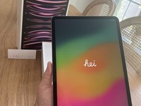 Apple iPad Pro 11" 4th Gen 2022