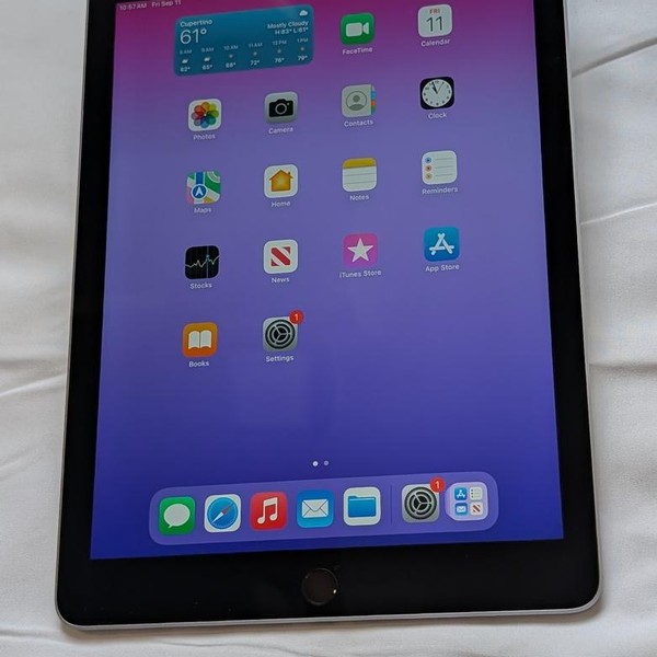 Apple iPad (6th Gen) - Wi-Fi, 32 GB, Gray, A1893