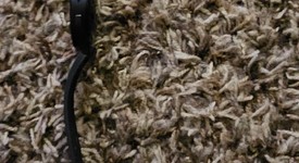 Good
													Samsung Galaxy Watch5 - Wi-Fi, Graphite, 44mm, photo 3 of 9