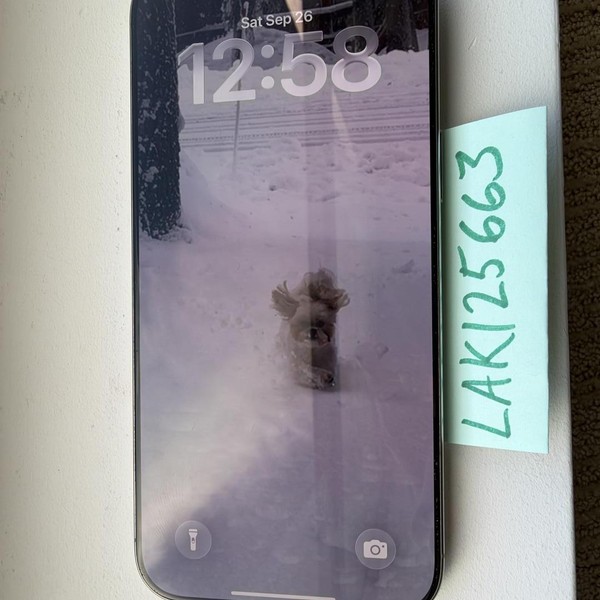 Apple iPhone 16 Pro Max - Unlocked, 256 GB, Natural, A3084