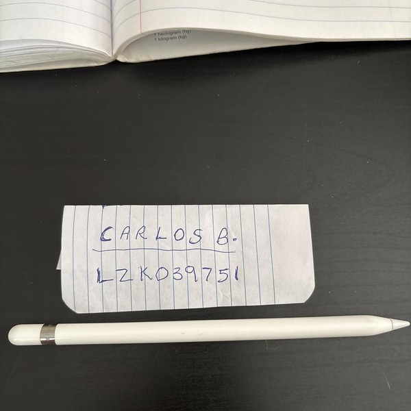 Apple Pencil 1st Gen