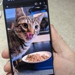 Good Google Pixel 9 Pro XL - Unlocked, 512 GB, Obsidian, 16 GB, GGX8B