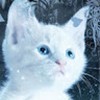 FrostzFade