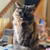 Seller: Steve N.