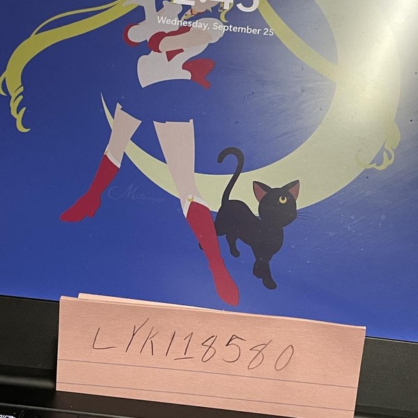 Razer Blade Stealth 13.3 inch 2019 - 512 GB, Black, 16 GB, Intel Core i7, FHD