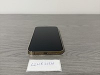 Apple iPhone 12 Pro