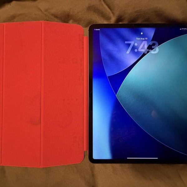 Apple iPad Pro 12.9 inch 5th Gen 2021 - Unlocked, 128 GB, Gray