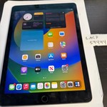 Good Apple iPad Pro 9.7 inch - Unlocked, 256 GB, Gray, A1674