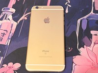 Apple iPhone 6S Plus