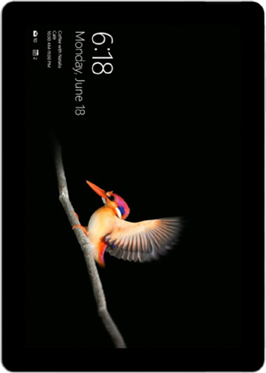 Microsoft Surface Go - Wi-Fi, 64 GB, Silver, 4 GB