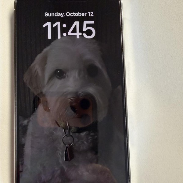 Apple iPhone 14 Pro - Unlocked, 256 GB, Silver, A2650