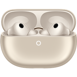 HUAWEI FreeBuds Pro 5