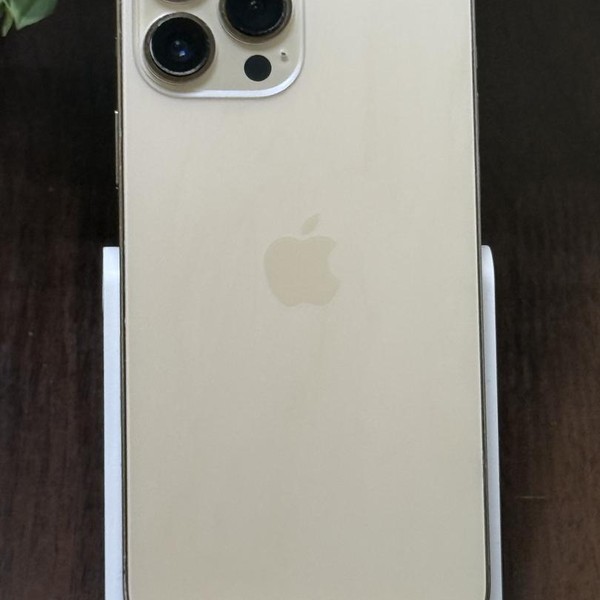 Apple iPhone 13 Pro Max - Unlocked, 128 GB, Gold, A2484