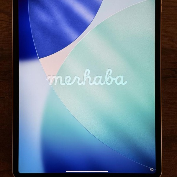 Apple iPad Pro 12.9 inch 4th Gen 2020 - Wi-Fi, 256 GB, Silver, A2229