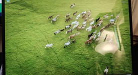 Fair
													Microsoft Surface Pro 8 - I5, Graphite, 256 GB, 8 GB, photo 1 of 6