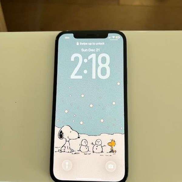 Apple iPhone 12 Pro - Unlocked, 256 GB, Pacific Blue, A2341