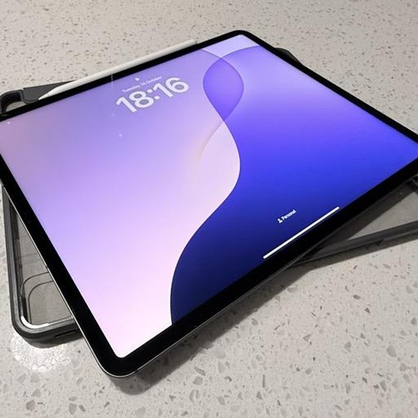 Apple iPad Pro 12.9 inch 5th Gen 2021 - Unlocked, 256 GB, Gray