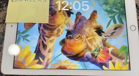 Good
													Apple iPad 6th Gen - Wi-Fi, Gold, 32 GB, A1893, photo 1 of 6