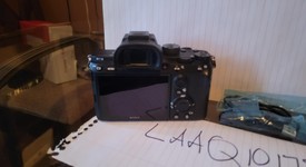 Mint
													Sony a7 III, photo 1 of 11