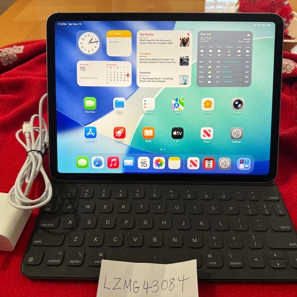 Apple iPad Pro 11 inch 4th Gen 2022 - Unlocked, 256 GB, Gray