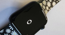 Mint
													Apple Watch Series 7 45mm - Unlocked, Midnight, A2477 - Cellular, Aluminum, photo 3 of 5