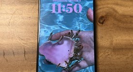 Mint
													Apple iPhone 15 Pro Max - Unlocked, Black, 256 GB, A2849, photo 5 of 10