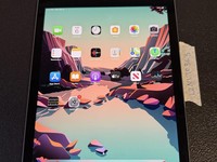 Apple iPad Pro 9.7"