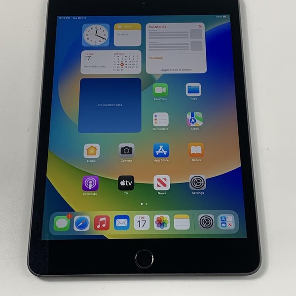 Apple iPad Mini 5th Gen - Unlocked, 256 GB, Gray