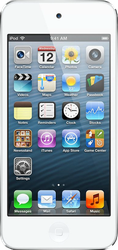 Apple iPod Touch 6th Gen (Wi-Fi)