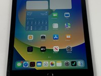 Apple iPad 5th Gen