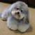 Seller: B. Newman