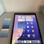 Good Apple iPad (9th Gen) - Unlocked, 256 GB, Gray, A2603