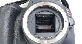 Mint
													Canon EOS Rebel SL2, photo 5 of 15