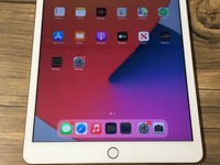 Apple iPad 8th Gen