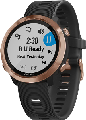Garmin Forerunner 645 - Gold, Music