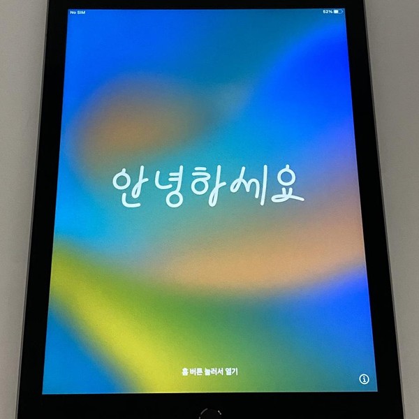 Apple iPad 5th Gen - Unlocked, 32 GB, Gray, A1823