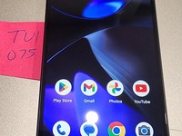 Google Pixel 9