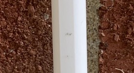 Good
													Apple Pencil 2nd Gen, photo 2 of 6