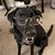 Seller: Tyler S.