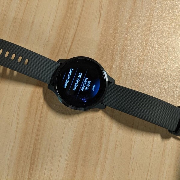 Garmin Venu 2S - Graphite