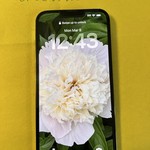 Good Apple iPhone 13 Pro Max - AT&T, 128 GB, Sierra Blue, A2484