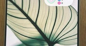 Mint
													Samsung Galaxy S25 Ultra - Unlocked, Whitesilver, 256 GB, 12 GB, SM-S938U1, photo 5 of 21