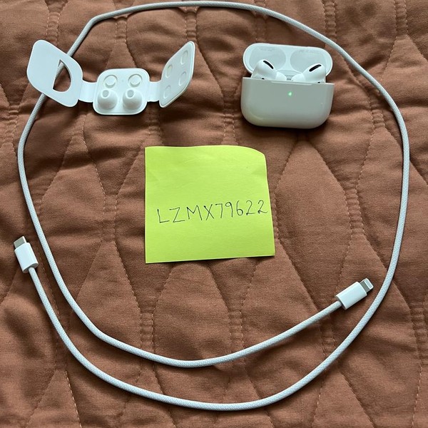 Apple AirPods Pro - MagSafe Case