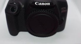 Mint
													Canon EOS 2000D, photo 3 of 15